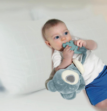 Load image into Gallery viewer, BEAR BABY TEETHER
